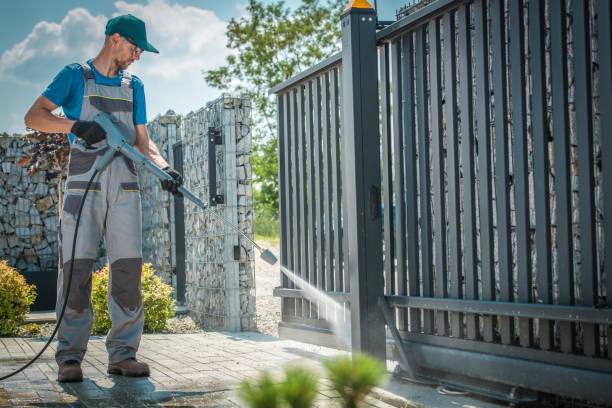Best Driveway Pressure Washing  in Mount Oliver, PA